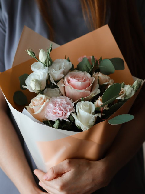 Création de site internet